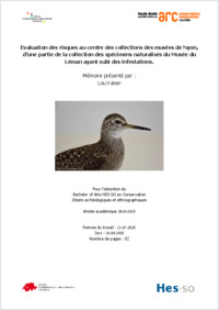 2025_BA_CRAE_Kaiser_evaluation des risques.pdf